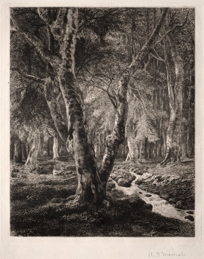 Bosque de Pierrefonds de Adolphe Théodore Jules Martial Potémont