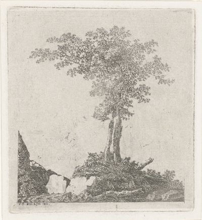 Dos árboles de Adriaan Jacob Willem van Dielen