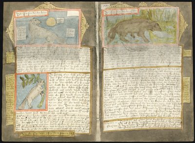 Visboeck de Adriaen Coenen de Adriaen Coenen