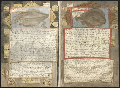 Visboeck de Adriaen Coenen de Adriaen Coenen