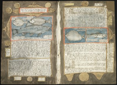 Visboeck de Adriaen Coenen - KB 78 E 54 - folios 339v (izquierda) y 340r (derecha) de Adriaen Coenen
