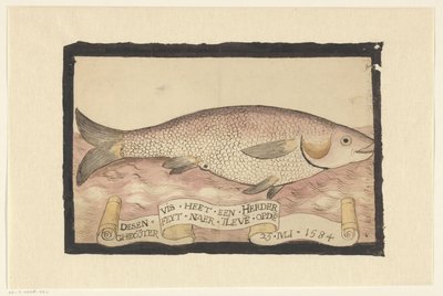 Salmonete de roca de Adriaen Coenen