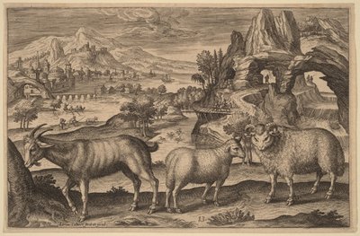  de Adriaen Collaert