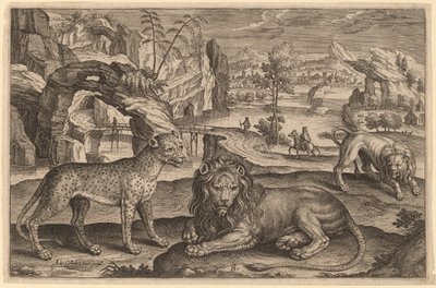 Un leopardo y dos leones de Adriaen Collaert