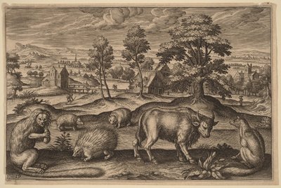  de Adriaen Collaert