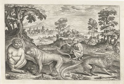 simios Animales de cuatro patas (título de la serie) Animalivm Qvaddrvpedvm (título de la serie) de Adriaen Collaert