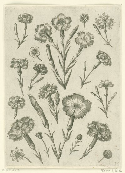 varios enfados Florilegio (título de la serie) de Adriaen Collaert