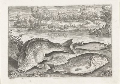 Tres carpas en un banco Pesca (título de la serie) Iconos de Piscium vivae (título de la serie) de Adriaen Collaert