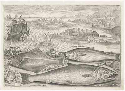 Tres peces en la playa Pesca (título de la serie) Iconos de Piscium vivae (título de la serie) de Adriaen Collaert