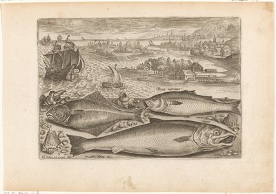 Tres peces en la playa
Fish (título de la serie)
Piscivm vivae icones (título de la serie) de Adriaen Collaert