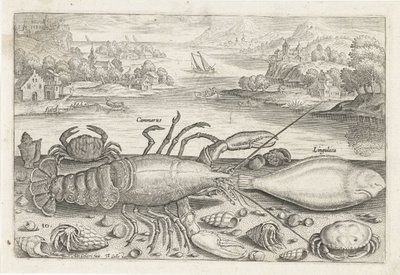 Un pez y unos crustáceos en la playa. Pesca (título de la serie) Iconos de Piscivm vivae (título de la serie) de Adriaen Collaert