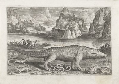 Algunos reptiles y anfibios en una orilla Pesca (título de la serie) Iconos de Piscivm vivae (título de la serie) de Adriaen Collaert