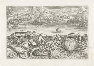 Algunos crustáceos en la playa Pesca (título de la serie) Iconos de Piscium vivae (título de la serie) de Adriaen Collaert