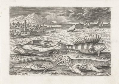Algunos peces y una morsa en la playa. Pesca (título de la serie) Iconos de Piscivm vivae (título de la serie) de Adriaen Collaert