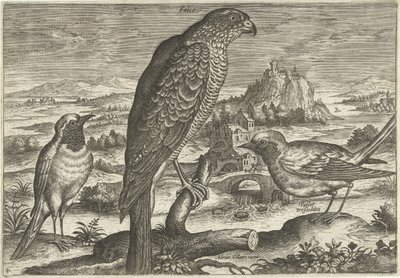 Algunas aves en un paisaje Pájaros (título de la serie) Avivm vivae (título de la serie) de Adriaen Collaert