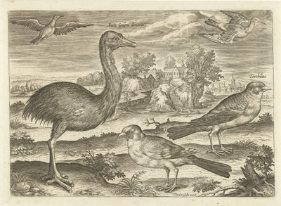 Algunas aves en un paisaje Pájaros (título de la serie) Avivm vivae (título de la serie) de Adriaen Collaert