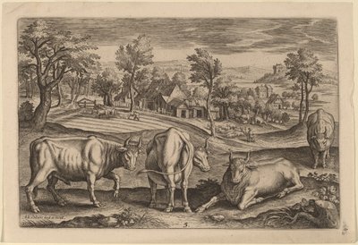 Cuatro toros de Adriaen Collaert