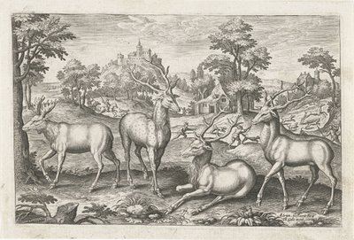 ciervo Animales de cuatro patas (título de la serie) Animalivm Qvaddrvpedvm (título de la serie) de Adriaen Collaert