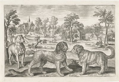perros Animales de cuatro patas (título de la serie) Animalivm Qvaddrvpedvm (título de la serie) de Adriaen Collaert