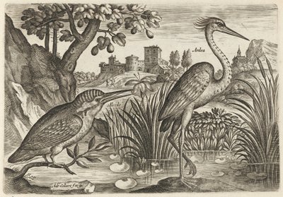  de Adriaen Collaert