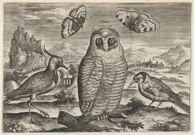  de Adriaen Collaert