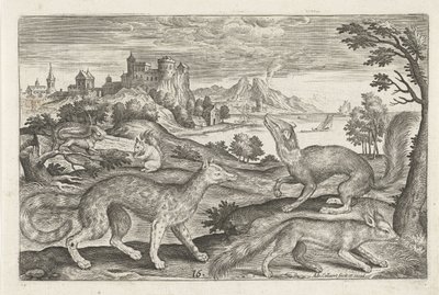 Martas, ardillas y un zorro Animales de cuatro patas (título de la serie) Animalivm Qvaddrvpedvm (título de la serie) de Adriaen Collaert