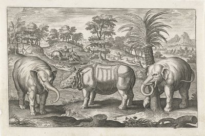 elefantes y rinocerontes Animales de cuatro patas (título de la serie) Animalivm Qvaddrvpedvm (título de la serie) de Adriaen Collaert