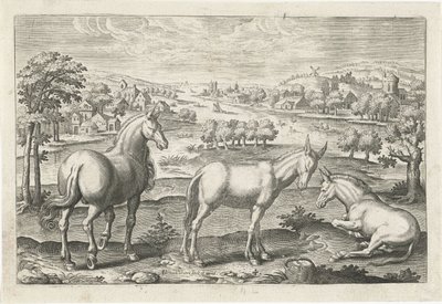 caballo y burros Animales de cuatro patas (título de la serie) Animalivm Qvaddrvpedvm (título de la serie) de Adriaen Collaert