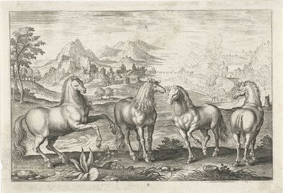 Caballos Animales de cuatro patas (título de la serie) Animalivm Qvaddrvpedvm (título de la serie) de Adriaen Collaert
