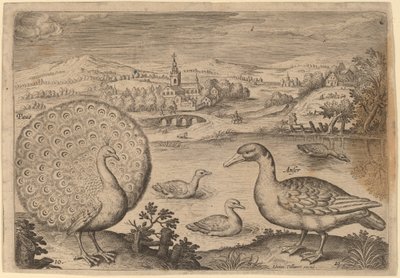 Pavo real y ganso de Adriaen Collaert