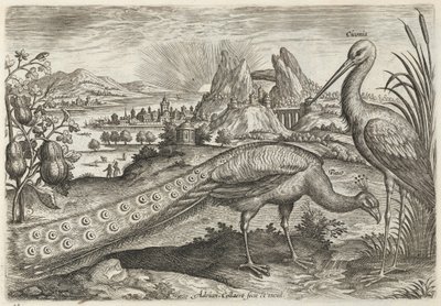  de Adriaen Collaert