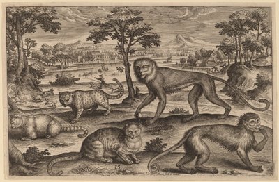 Tres Gatos y Dos Monos de Adriaen Collaert