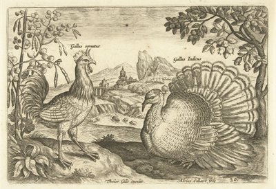 Dos gallinas en un paisaje. Avium Vivae (título de la serie) Pájaros (título de la serie) de Adriaen Collaert