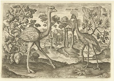 Dos pájaros no voladores en un paisaje Avium Vivae (título de la serie) Pájaros (título de la serie) de Adriaen Collaert