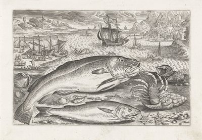 Dos peces en la playa Pesca (título de la serie) Iconos de Piscium vivae (título de la serie) de Adriaen Collaert