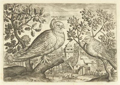 Dos pájaros en un paisaje Avium Vivae (título de la serie) Pájaros (título de la serie) de Adriaen Collaert
