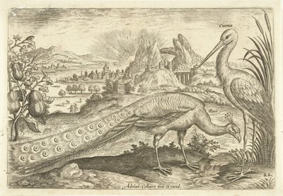 Dos pájaros en un paisaje Avium Vivae (título de la serie) Pájaros (título de la serie) de Adriaen Collaert