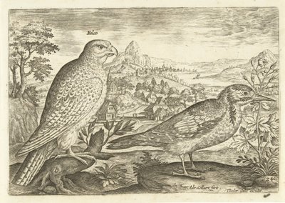 Dos pájaros en un paisaje Avium Vivae (título de la serie) Pájaros (título de la serie) de Adriaen Collaert