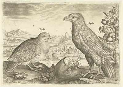 Dos pájaros en un paisaje Avium Vivae (título de la serie) Pájaros (título de la serie) de Adriaen Collaert