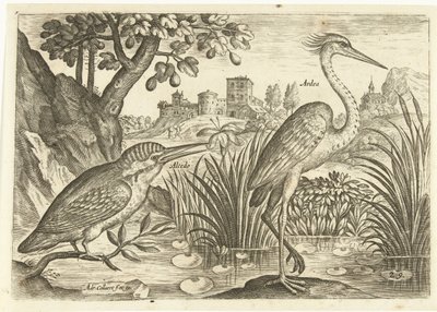 Dos pájaros en un paisaje Pájaros (título de la serie) Avium Vivae (título de la serie) de Adriaen Collaert