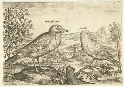 Dos pájaros en un paisaje Pájaros (título de la serie) Avium Vivae (título de la serie) de Adriaen Collaert