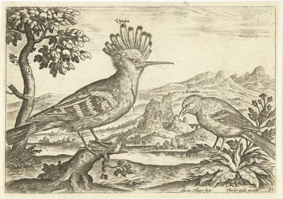 Dos pájaros en un paisaje Pájaros (título de la serie) Avium Vivae (título de la serie) de Adriaen Collaert