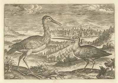 Dos pájaros en un paisaje Pájaros (título de la serie) Avium vivae (título de la serie) de Adriaen Collaert