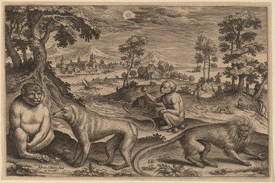 Dos Simios y Dos Monos de Adriaen Collaert