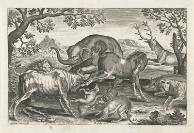 Animales de combate
Animales de cuatro patas (título de la serie)
Animalivm Qvaddrvpedvm (título de la serie) de Adriaen Collaert