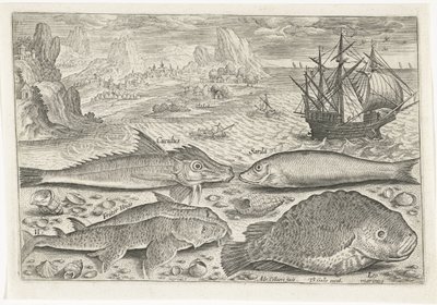 Cuatro peces en la playa Pesca (título de la serie) Iconos de Piscium vivae (título de la serie) de Adriaen Collaert
