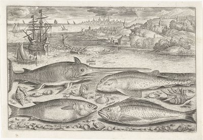 Cuatro peces en la playa Pesca (título de la serie) Iconos de Piscium vivae (título de la serie) de Adriaen Collaert