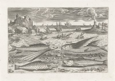 Cuatro peces en la playa Pesca (título de la serie) Iconos de Piscium vivae (título de la serie) de Adriaen Collaert