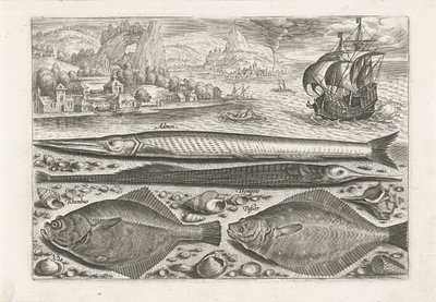 Cuatro peces en la playa Pesca (título de la serie) Iconos de Piscium vivae (título de la serie) de Adriaen Collaert