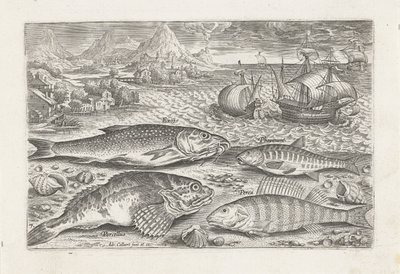 Cuatro peces en la playa Pesca (título de la serie) Iconos de Piscium vivae (título de la serie) de Adriaen Collaert